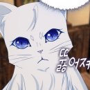 한국태권도아카데미 이미지