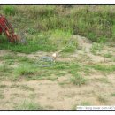 삼룡농장 이미지