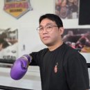 슈가복싱 프리미엄 이미지