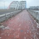 국토종주 자전거길 및 전용도로 | 겨울 자전거국토종주 대비 춘천~서울 북한강 라이딩-엑스트론 프로S