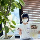 행현초등학교 이미지