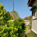 싸리재펜션 이미지