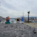 산청(통영) 이미지