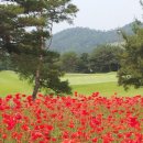 세종에머슨(주) 밸리 이미지