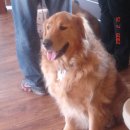 화성1리 이미지