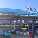 분오호