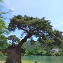 환산정 | 여행후기_mr.j 31 화순 환산정, 무등산양떼목장