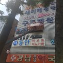 구트병원 Daum카페