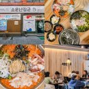 망운로 | 남해 물회 현지인 맛집 소문난 김군 보물섬물회 회덮밥 후기
