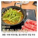 과천식당 홍홍언니 | 과천 샤브샤브 &#39;청록미나리식당&#39; 야채 무한리필, 쿠폰 정보