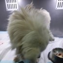 와와동물병원 이미지