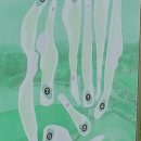 청하이스턴C.C 이미지