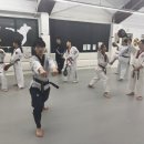 Team태권도장 이미지