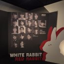 우실마을회관 | 연극 화이트래빗 레드래빗 | 정원영 후기, 세종문화회관 S씨어터 2층 4열 시야