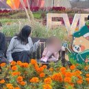 수원-0438 | [이프헤어 수원매교점] IFF헤어,내돈내산 리얼후기(가족컷트,어린이펌,윈드펌,웬디펌,매직셋팅)
