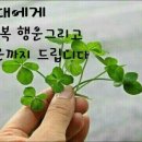 참좋은이웃 이미지