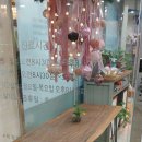 송정코끼리한의원 네이버블로그