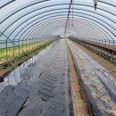 준기농장 이미지