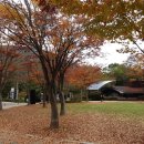 빛고을카센터 이미지