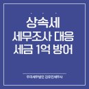[상속세전문세무사] 상속세 세무조사 대응, 세금 1억 방어 (김해 상속세 세무사)