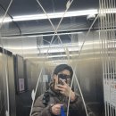 5번째 단양, 소백산 비로봉을 밟다
