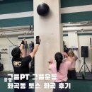 화곡 | 그룹PT 그룹운동 화곡동 토스 화곡 후기
