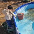 꿀꿀이왕국 | 세종 근교 무료 눈썰매장 논산 덕바위마을 겨울왕국 축제