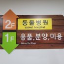 동물병원애견샵엔젤독스 네이버블로그