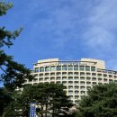 호텔마레몬스 | 속초 오션뷰 마레몬스 호텔 후기 부모님 모시고 다녀온 가족여행 숙소