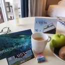 웰컴 | [DAY2] 암웨이 보상 여행 – 케언즈 아쿠아리움 웰컴 페스티벌 후기