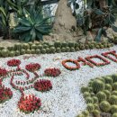 중문관광로 이미지