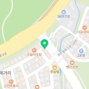 캣츠앤독스 강아지분양 고양이분양 수원점 이미지