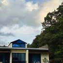 폴짝하우스 | 포항 단체숙소 애견동반 독채숙소 폴짝하우스 2박 후기, 맘껏 뛰어놀게 해주고 싶다면 강력 추천!