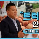 국가대표과일촌