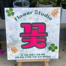 아인플로라 | 홍성 아인스튜디오 꽃과 함께 개인프로필사진 촬영 후기 아인플로라 홍성꽃집 홍성사진관