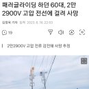 패러글라이딩 2만2900v 고압전선에 걸려 사망 이미지