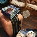 RR-31[공항로]-하-2 | EP.7_히로시마 7일차/마지막날/ 5월 여자 혼자 히로시마 6박 7일 여행/사이조역/사이조 양조장/히로시마...