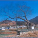 남해-284 이미지