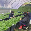 미나리경로당 이미지