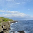 선광사 | 제주가볼만한곳 남원 큰엉해안경승지 한반도포토존 서귀포여행코스