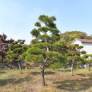 용소농장 이미지