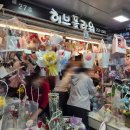 수원역지하도상가 | [수원 꽃집] 수원역 가성비 꽃집 추천! 허브플라워 수원역지하도상가점 후기