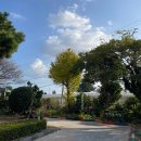 토산초등학교 병설유치원 이미지