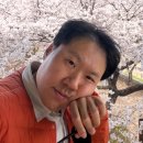 퍼펙트 크린 | 3월 쿠팡 마켓컬리 장바구니 구매후기