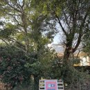 남원읍-67 | 모모스튜디오 제주실내촬영 레트로 감성 커플스냅 후기