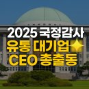 [윤리경영] 독점규제 및 공정거래법 | 국정감사 쿠팡 신세계 배달의민족 홈플러스까지, 유통 CEO 줄소환의 의미