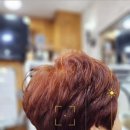 서울북부요양보호사교육원