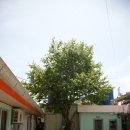 늘봄민박 이미지