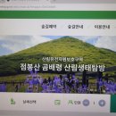 곰배령 PC 이미지