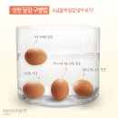 상한 달걀 구별법 이미지